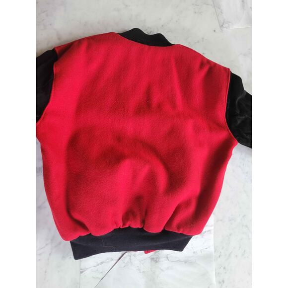 VTG 90s DELONG Detroit Red Wing NHL Quilted Varsity Jacket Wool Suede USA L MINT - Picture 2 of 14